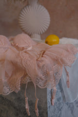 Carnation