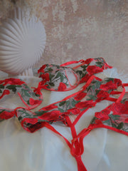 Crimson Rose Garden