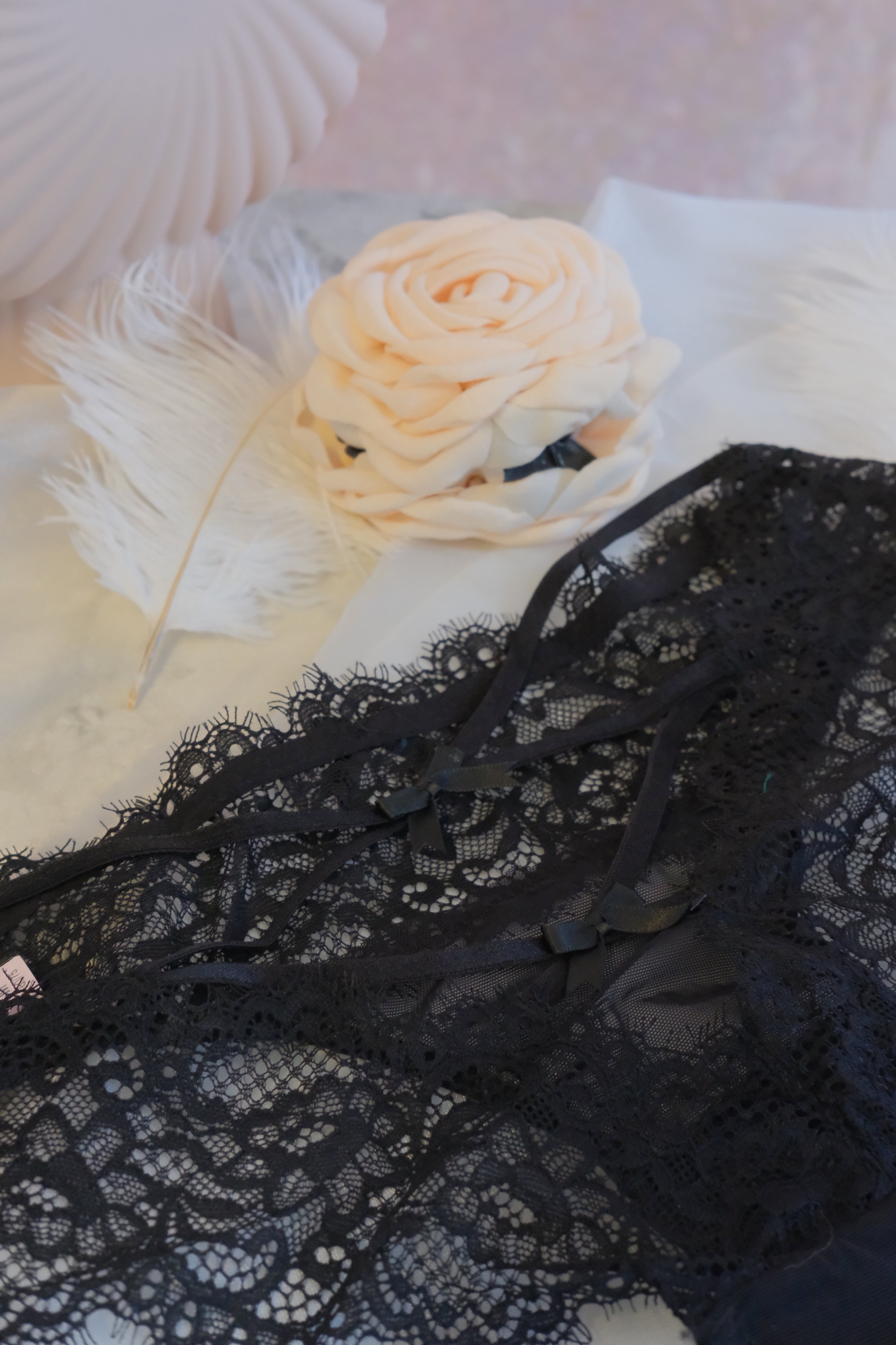 Midnight Lace Panty
